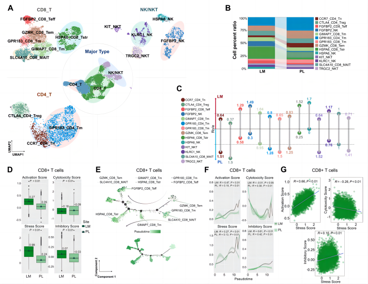 F03_Figure 2 from Deng et al250908